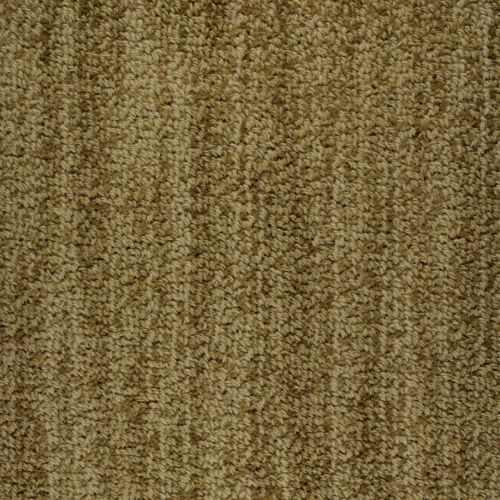 Bellini by Masland Carpets & Rugs - Biada