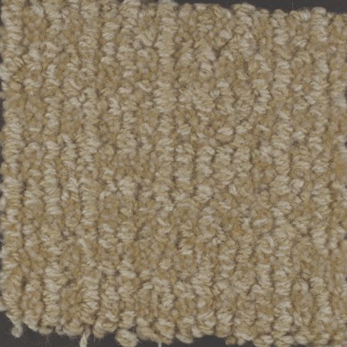 Chesapeake by Masland Carpets & Rugs - Cordage