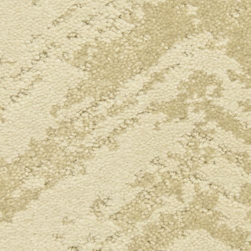 Joy Ride by Masland Carpets - Temperate Zone