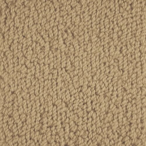 Novellino by Masland Carpets - Toffee