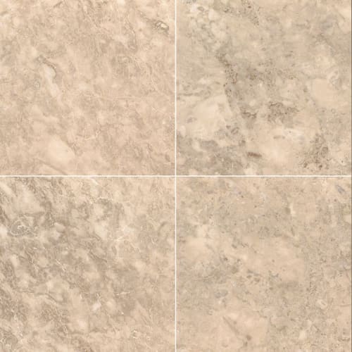 Crema Cappuccino by Msi Stone - Crema Cappuccino - 24X24