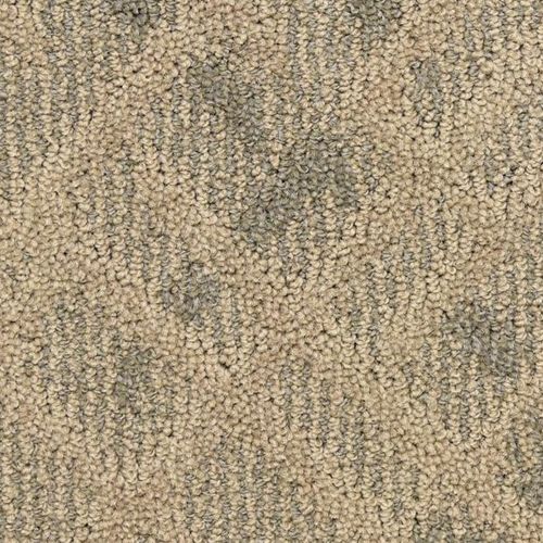 Orion by Masland Carpets - Celestial