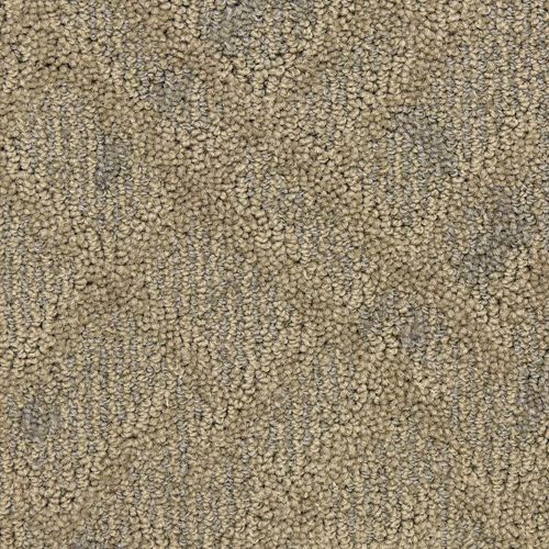 Orion by Masland Carpets - Planet