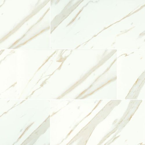 Calacatta - 12X24 Matte