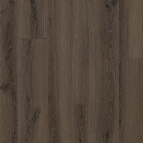 Reindeer Brown
