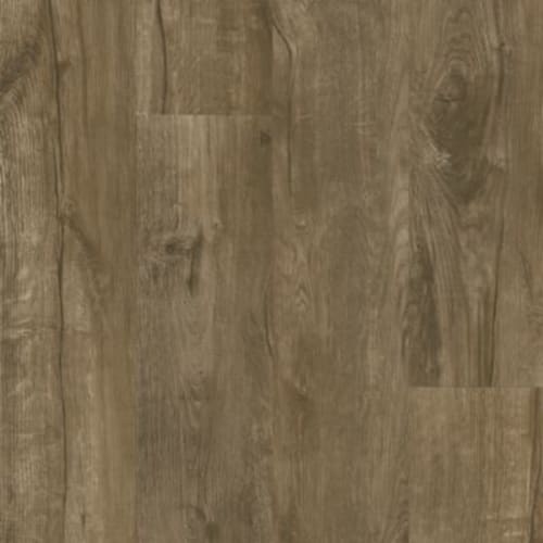 Chestnut