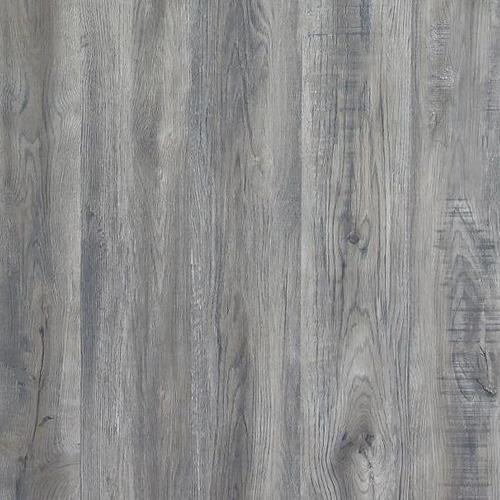 runner_up - chesapeake_oak, resilient, 017ct-01001