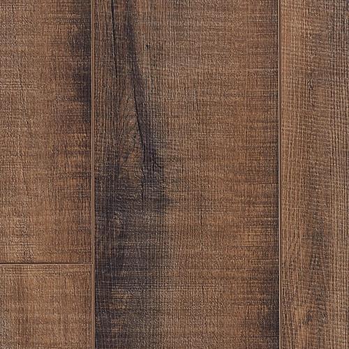 Sequoia