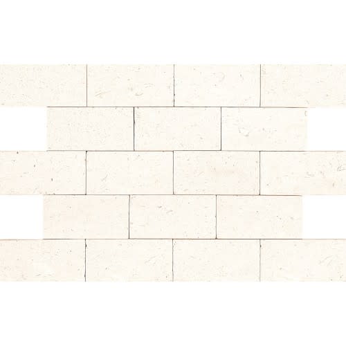 Limestone Collection by Dal Tile - Blavet Blanc 3X6 Honed