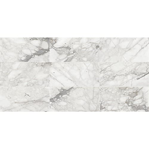 Marble Collection by Dal Tile - Venetian Calacatta 12X12 Polished
