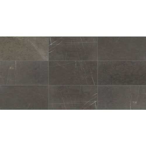 Antico Scuro 24X24 Polished