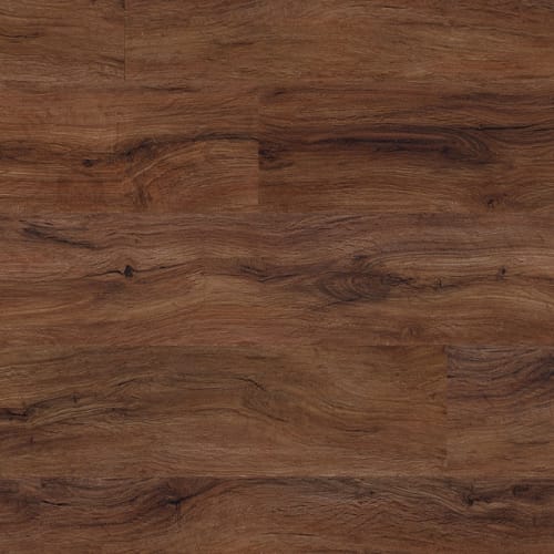 North American Walnut