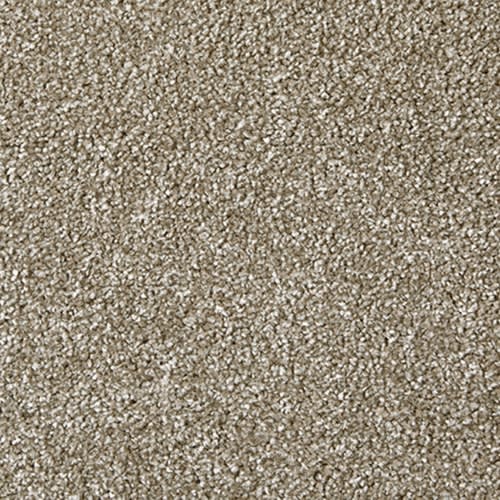 Apollo Plus by Cormar Carpets - Burly Wood