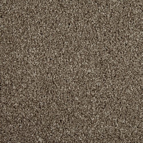 Primo Choice by Cormar Carpets - Mustang