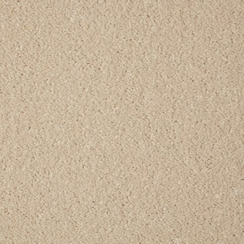 Primo Grande by Cormar Carpets - Ceramic