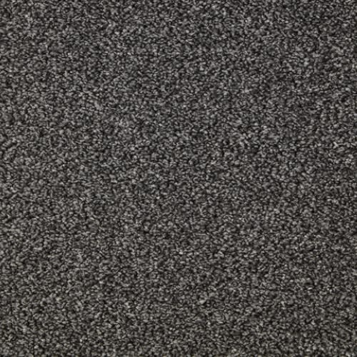 Primo Grande by Cormar Carpets - Raven