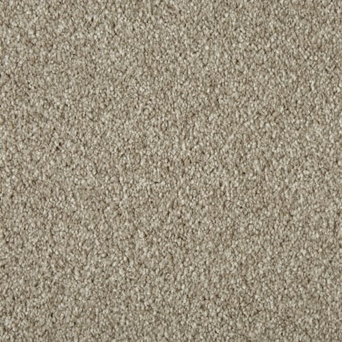 Primo Ultra by Cormar Carpets - Beaver