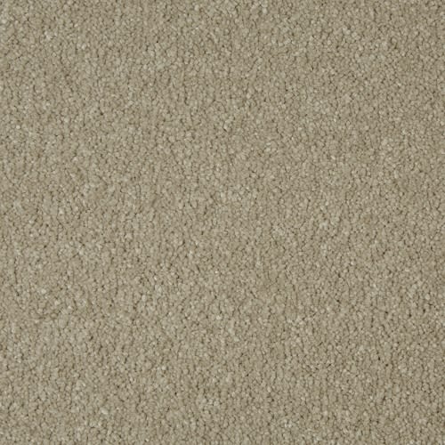 Sensation by Cormar Carpets - Light Taupe