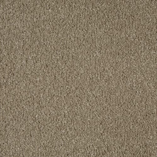 Sensation by Cormar Carpets - Siberian Mink