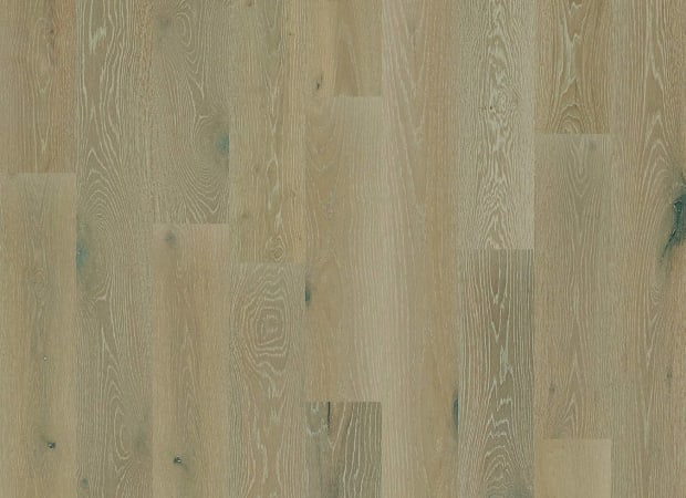 Champagne Oak