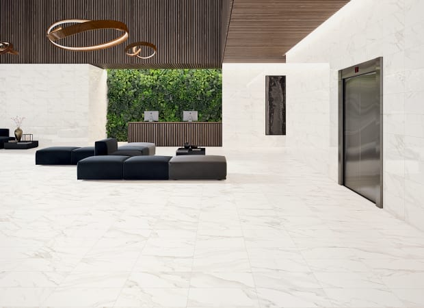 Calacatta Gold 12X24