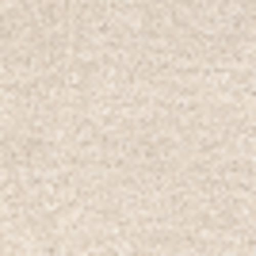 Momentum II in Beach Sand - Carpet by Revolution Mills