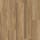 Carmel Hickory