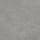 Ash Warm Gray