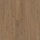 Hazelnut Hickory