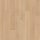 Cork Oak