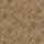 Homestar Brown