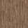 Almond Oak 743