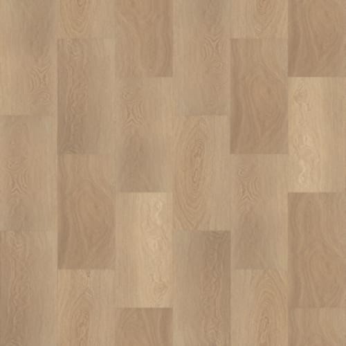 Paladin Plus in Castaway - Vinyl by Shaw Flooring