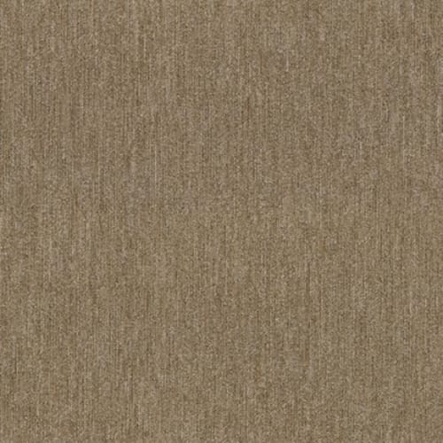 Chapel Ridge in Transit - Carpet by Shaw Flooring