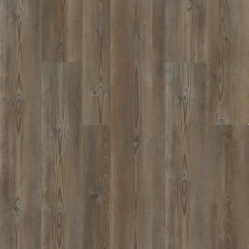 Paladin Plus in Ripped Pine - Vinyl by Shaw Flooring