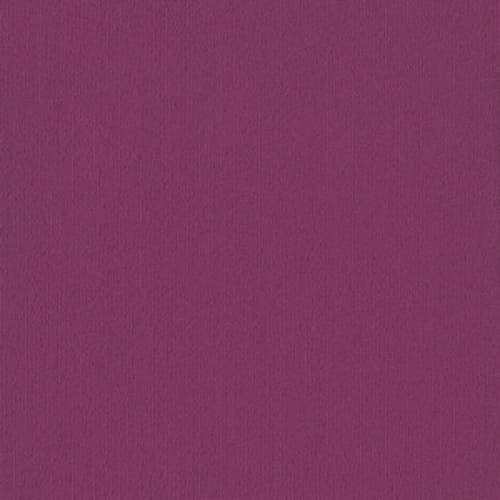 Light Show in Plum - Carpet by Shaw Flooring