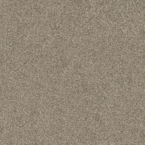 Fyc Ns Blue Net in Camping Trip (s) - Carpet by Shaw Flooring