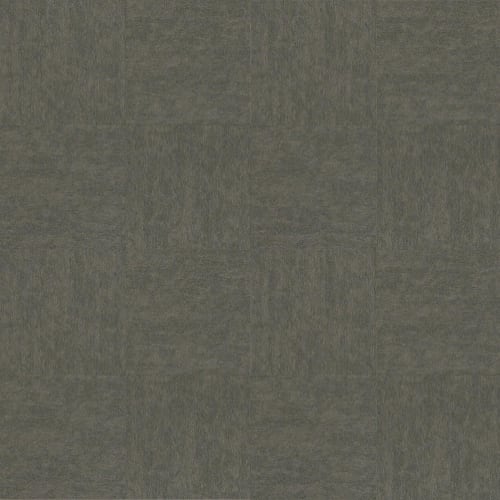 Contender in Triumph - Carpet by Shaw Flooring