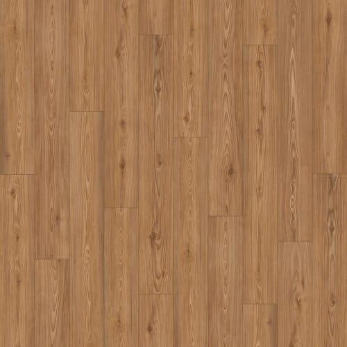 Hybrid in New Haven, CT