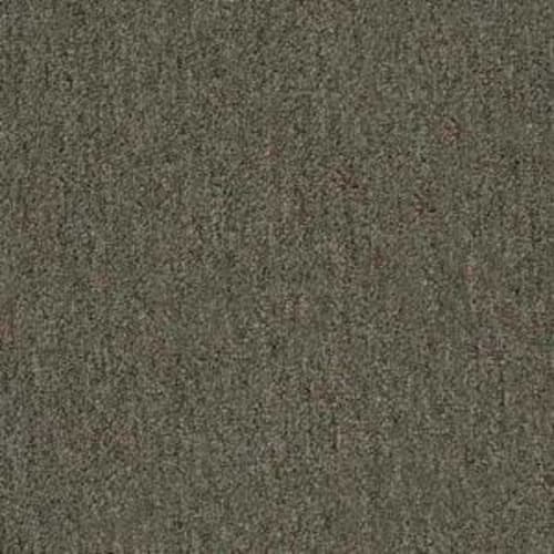 Shaw Carpet Color Chart Review Home Co