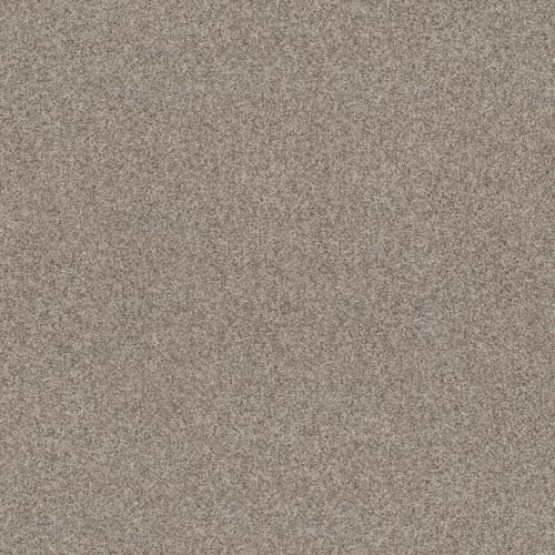 Carpet Diem by Shaw Industries - Cozy Taupe