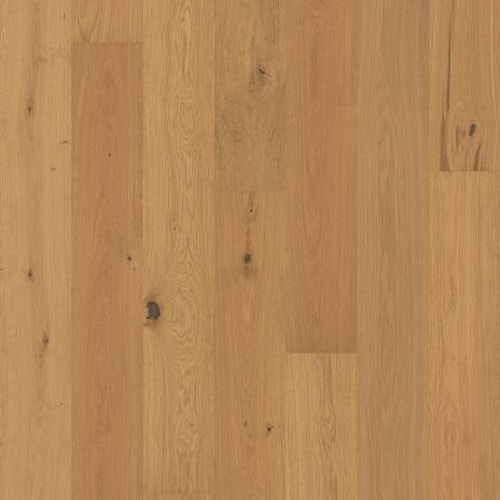 Harvest Oak