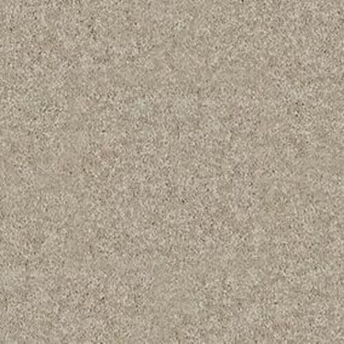 Xv426 by Shaw Floors Value - Ultra Suede