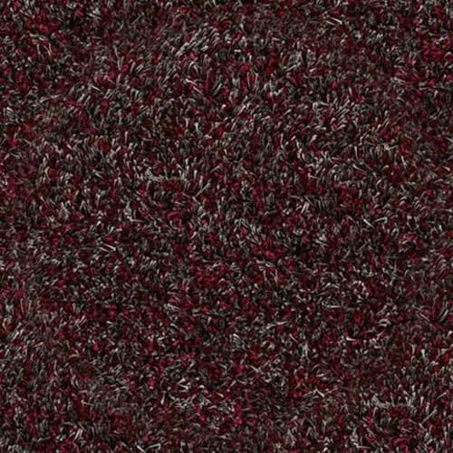 Carpet Jam