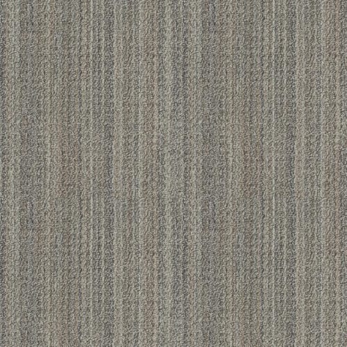 Sundance by Shaw Industries - Jura Grey