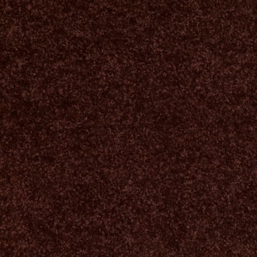 Dreamin' 12' by Shaw Floors Value - Chianti