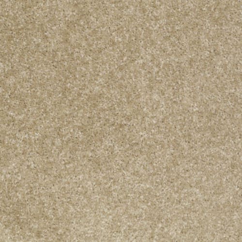 Jet Set by Shaw Floors Value - Leather