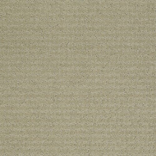 Activate by Shaw Floors Value - Wool Skein