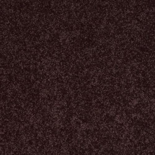 All Star Weekend Iii 12' by Shaw Floors Retail - Royal Purple