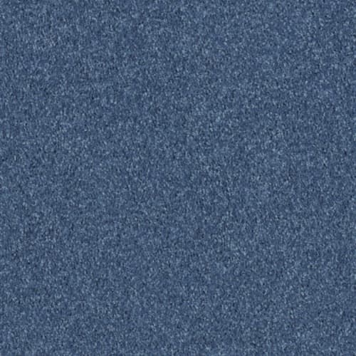 Fastrak II by Shaw Floors Retail - Indigo